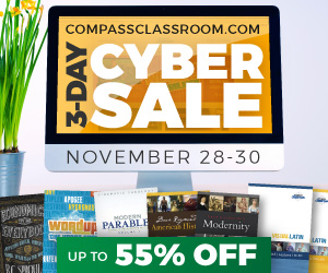 cyber sale banner