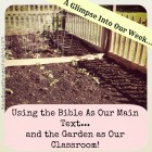 A Glimpse Into Our Week- The Garden Is Our Classroom!