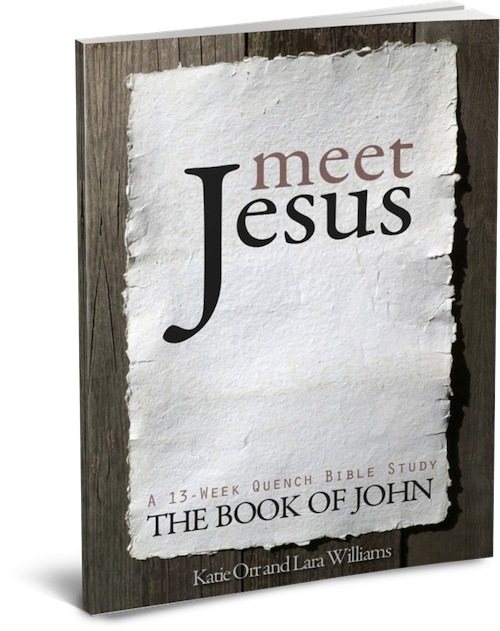 meet-jesus-ecover-500