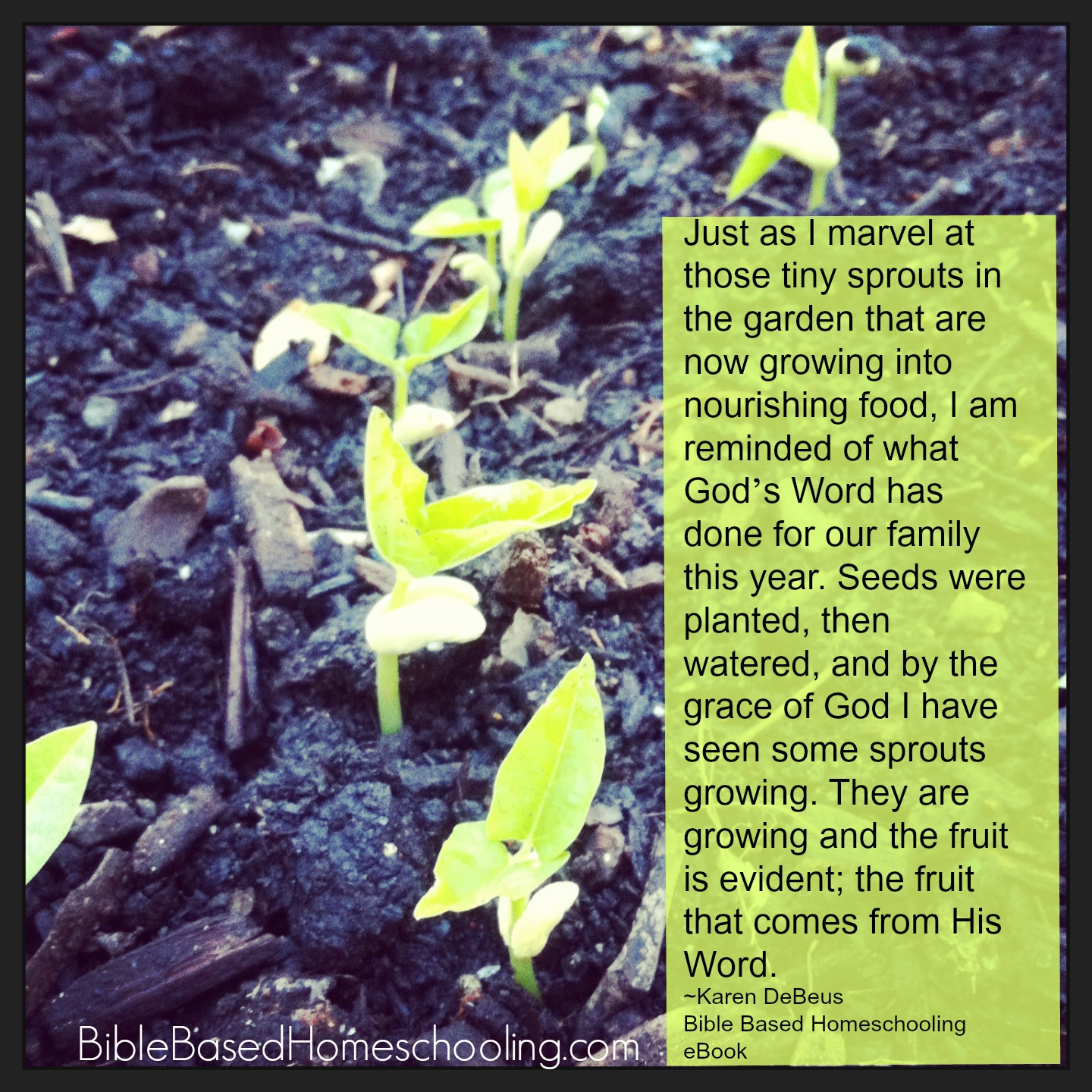 Bible Based Homeschooling quote