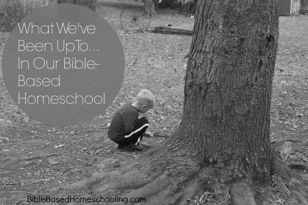 Bible Based Homeschooling.jpg