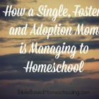 Guest Post: How a Single, Foster and Adoption Mom is Homeschooling
